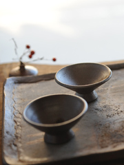 �u���O�Ă͐��U�̔����v