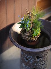 ���O�Ă͖؂̘L��